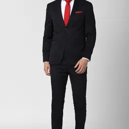 peter england Men 2 Piece suit Solid Suit-picture-40