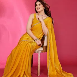 BLEESBURY Embroidered Beads and Stones Pure Chiffon Saree-27