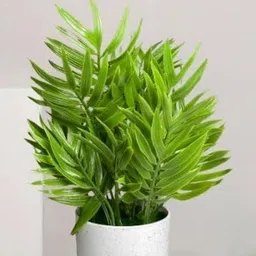 De Gardenia Green Grass Artificial Plant With Pot-picture-49
