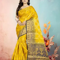 DIVASTRI Woven Design Zari Pure Silk Banarasi Saree-picture-51
