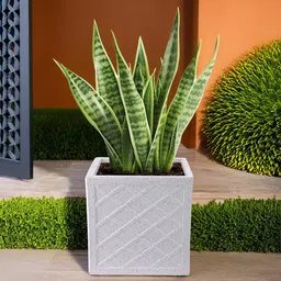 Kuber Industries White Fresh Textured Planters-image-55