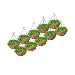 10 Inch Coir Hanging Basket with Metal Hanging Chain-50