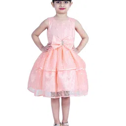 Wish little Lace A-Line Dress-39