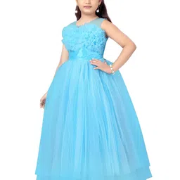Aarika Net Fit & Flare Maxi Dress image 4