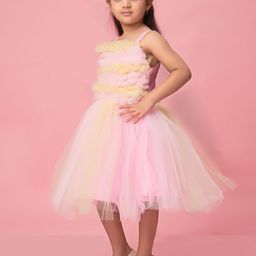 BAESD Net Fit & Flare Dress-36