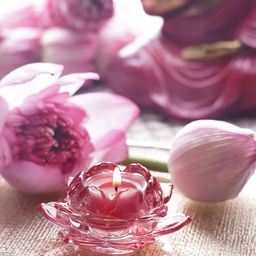 Pure Home and Living Pink & Transparent 3 Pieces Glass Tealight Candle Holder-picture-13