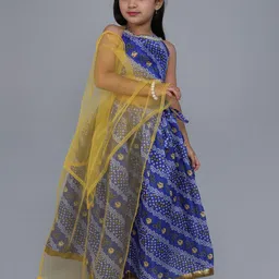 MANY FROCKS & Girls Printed Ready to Wear Lehenga Blouse With Dupatta-image-36