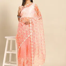 Anouk Floral Women Embroidered Organza Saree-picture-24
