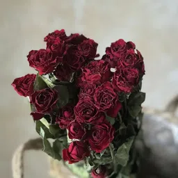 ArteCasa Red 1 Pieces Artificial Flower-42