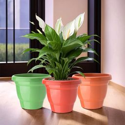 Kuber Industries Pack Of 3 Green & Orange Planters-40