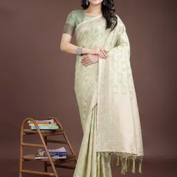 Astita Woven Design Zari Saree-image-89