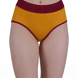 SHAPYFIT High-Rise Hipster Briefs-image-70