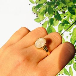 GenZcomplex Gold-Plated Brass Finger Ring-55