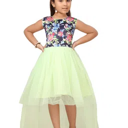 BAESD Net Fit & Flare Maxi Dress image 1