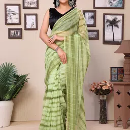 Rhey Striped Pure Georgette Ready to Wear Saree-image-94