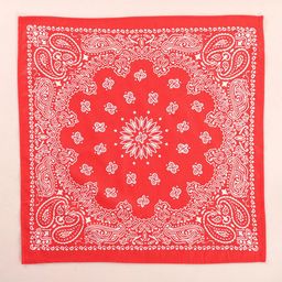 Ravaiyaa Unisex Mandala Paisley Printed Pure Cotton Bandana-image-44