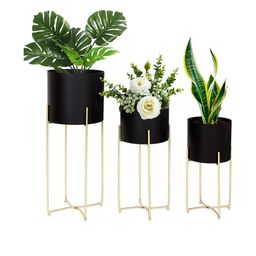 Inshreys Black Set Of 3 Matte Finish Indoor Planters With Stands-0