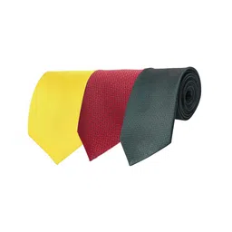 CALIXTO Men Pack Of 3 Woven Design Broad Tie-picture-17