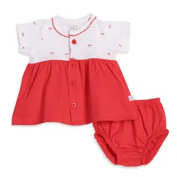 Dear Little Floral Colourblocked A-Line Dress-34