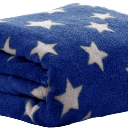 Printed Single Fleece Blanket forAC Room-image-27