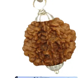 Certified 2 Mukhi / Face Rudraksha Indian Pendant for Neck Wearing, 100% Original Brown Color Beads Size 28-35 mm German Silver Locket With Red Thread Wood Locket-image-67