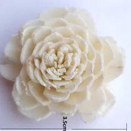 fab n style White Rose, Orchids Artificial Flower image 3