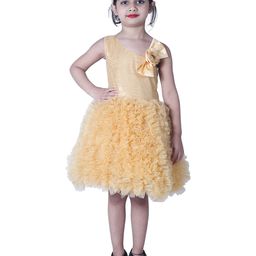 Wish little Girls Net A-Line Dress-9