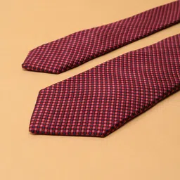 Peter England Men Checked Broad Tie-image-20