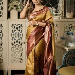 AMRUTKALA SAREES Woven Design Banarasi Saree-image-16