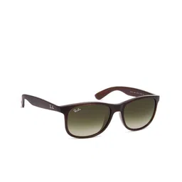 Ray-Ban Unisex Sunglasses 0RB4202-11