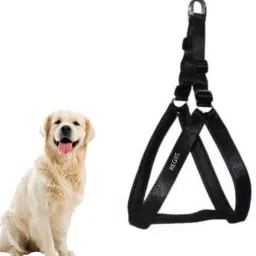 Dog Harness for Small, medium and Large Size Dogs Chest Harness-image-19