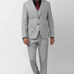 Men Suit Textured Suit-image-95