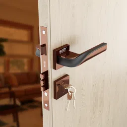 Brass, Zinc Alloy Glossy Handlesets-image-45