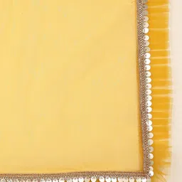 Dupatta Bazaar Sequins Embroidered Net Dupatta image 5