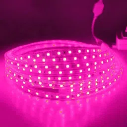 218 LEDs 3.05 m Pink Steady Moon Rice Lights-15