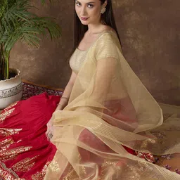 Dupatta Bazaar Organza Dupatta-picture-12