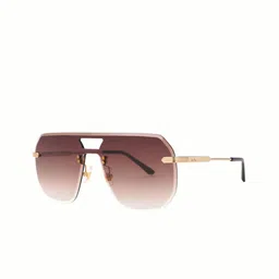 TAMZY Unisex Brown Lens & Gold-Toned Other Sunglasses with-1