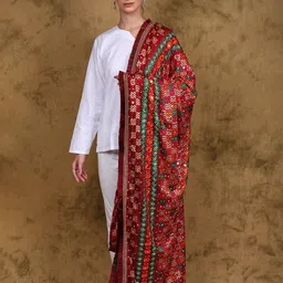 Exotic India Embroidered Art Silk Dupatta with Mirror Work-picture-32