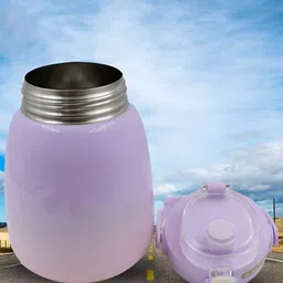DeoDap Purple Stainless Steel Solid Water Bottle 1.2L-12
