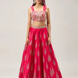 Samyukta Singhania Embroidered Ready to Wear Lehenga & Blouse With Dupatta-picture-46