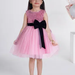 Ministitch Applique Net Fit & Flare Dress-10