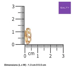 SALTY Sunehri Artificial Stones Studded Circular Studs image 4