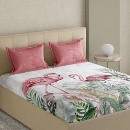 GM Red & White Graphic Printed Cotton 300 TC King Bedsheet with 2 Pillow Covers-image-22