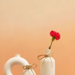 PUREZENTO Konso 3Pcs White Ceramic Flower Vases-image-89