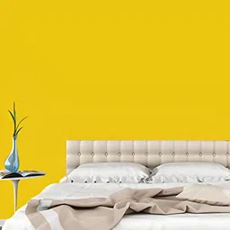 INDIAN ROYALS Yellow Self-Adhesive Window Sticker-picture-33