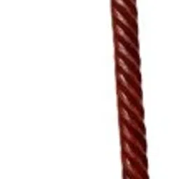 25 Walking Stick-picture-16