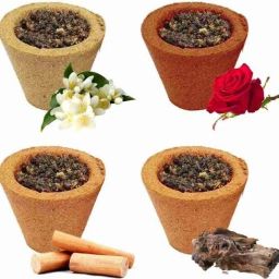 Cow Dunk Cup, Dhoop Cup, Loban Cup, Guggle Cup, Havan Cup, (24 Units) Guggul Dhoop-image-47