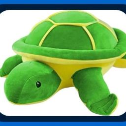 Teddy-SWARAH NYLEX SOFT TOYS TORTOISE FOR KIDS 30CM-1 - 30 cm-image-92