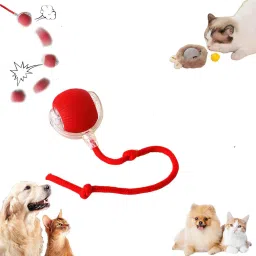 Rolling Cat Toy,Rolling Dog Toy,Smart Pet Ball Toy Automatic 360° Rolling Chase Plastic, Rubber Ball, Soft Toy, Training Aid, Chew Toy For Dog & Cat-image-97