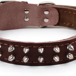 Suitable for Large Breeds Size 1.25 Inch Embellished Dog Collar Charm-image-32